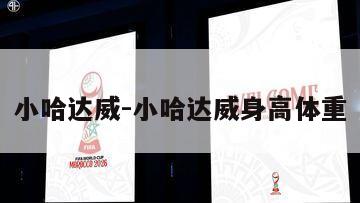 小哈达威-小哈达威身高体重