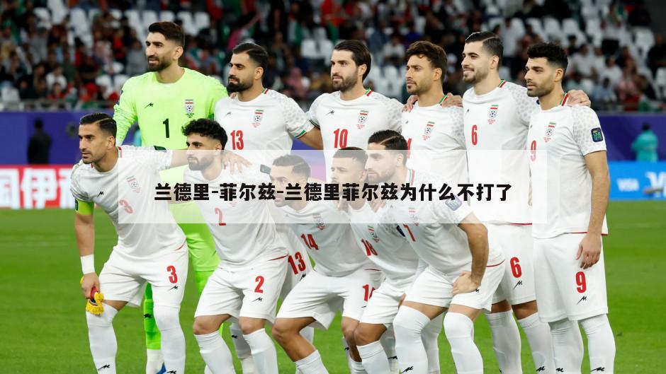 兰德里-菲尔兹-兰德里菲尔兹为什么不打了