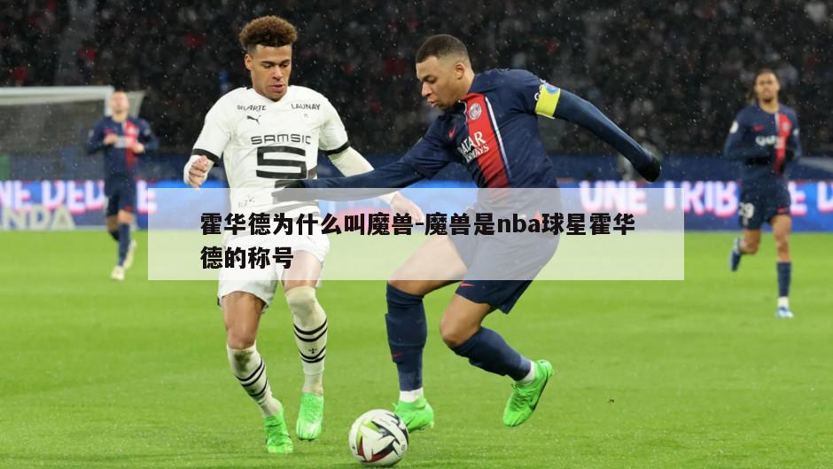 霍华德为什么叫魔兽-魔兽是nba球星霍华德的称号