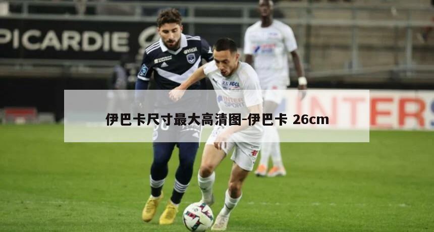 伊巴卡尺寸最大高清图-伊巴卡 26cm