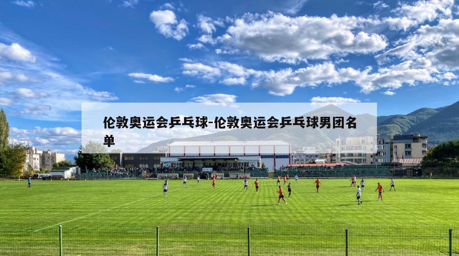 伦敦奥运会乒乓球-伦敦奥运会乒乓球男团名单
