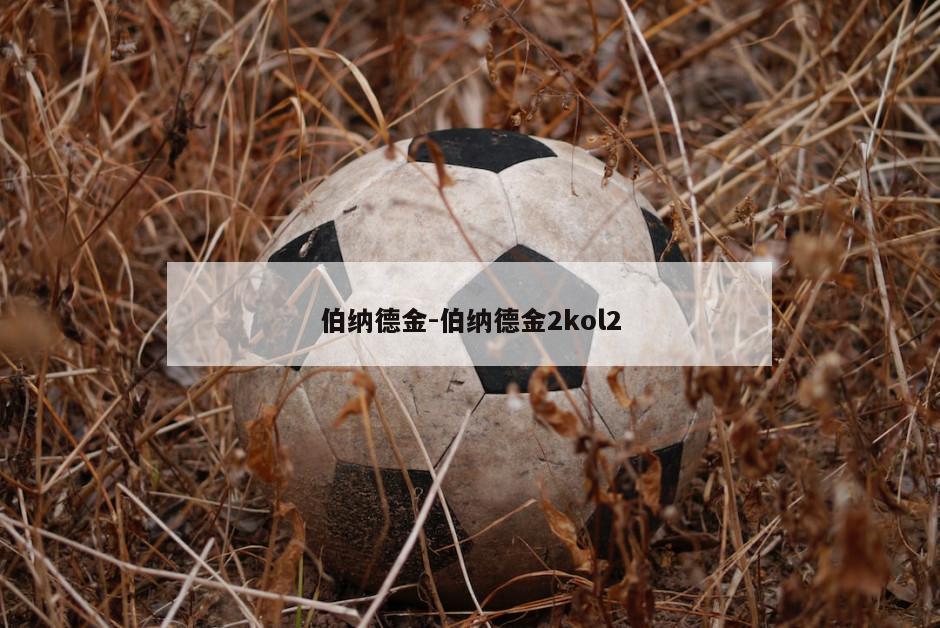 伯纳德金-伯纳德金2kol2
