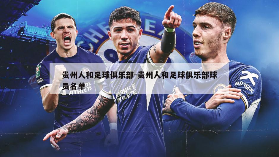 贵州人和足球俱乐部-贵州人和足球俱乐部球员名单