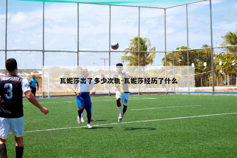 瓦妮莎出了多少次轨-瓦妮莎经历了什么