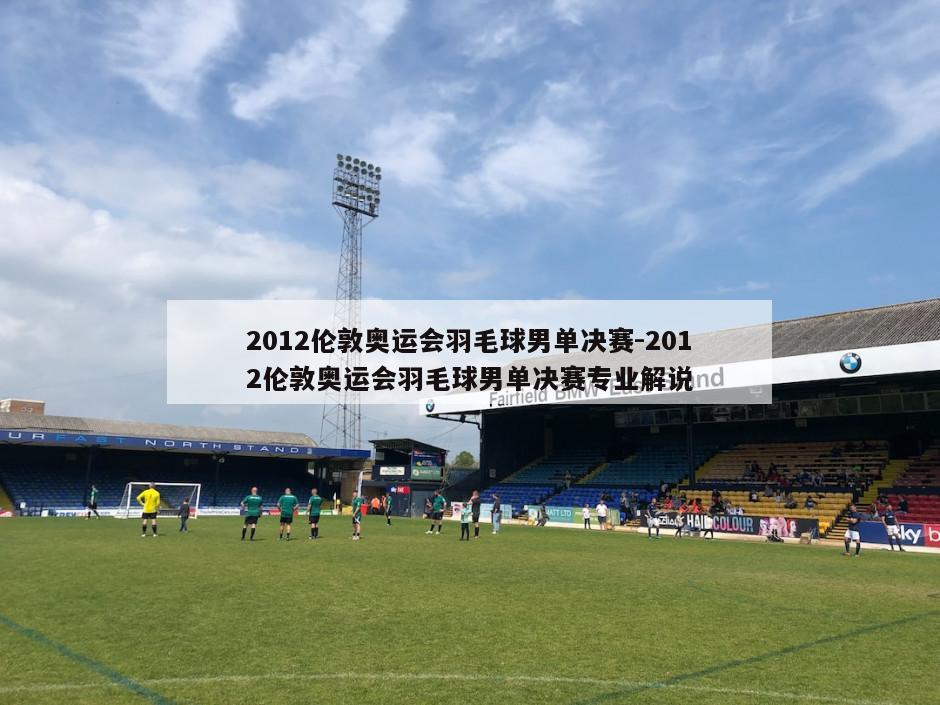 2012伦敦奥运会羽毛球男单决赛-2012伦敦奥运会羽毛球男单决赛专业解说