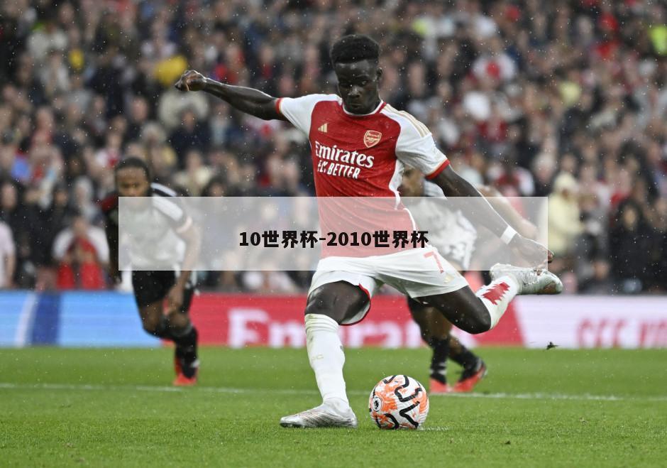 10世界杯-2010世界杯