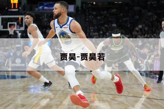 贾昊-贾昊若