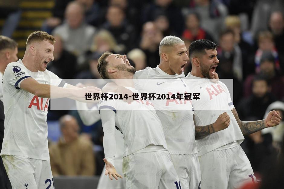 世界杯2014-世界杯2014年冠军