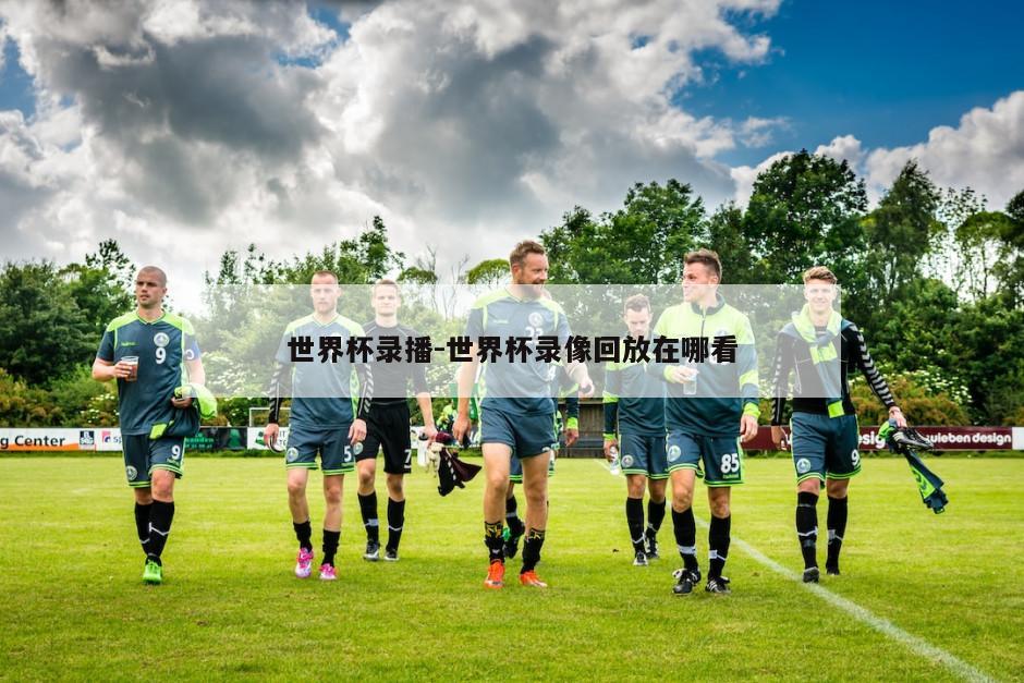 世界杯录播-世界杯录像回放在哪看