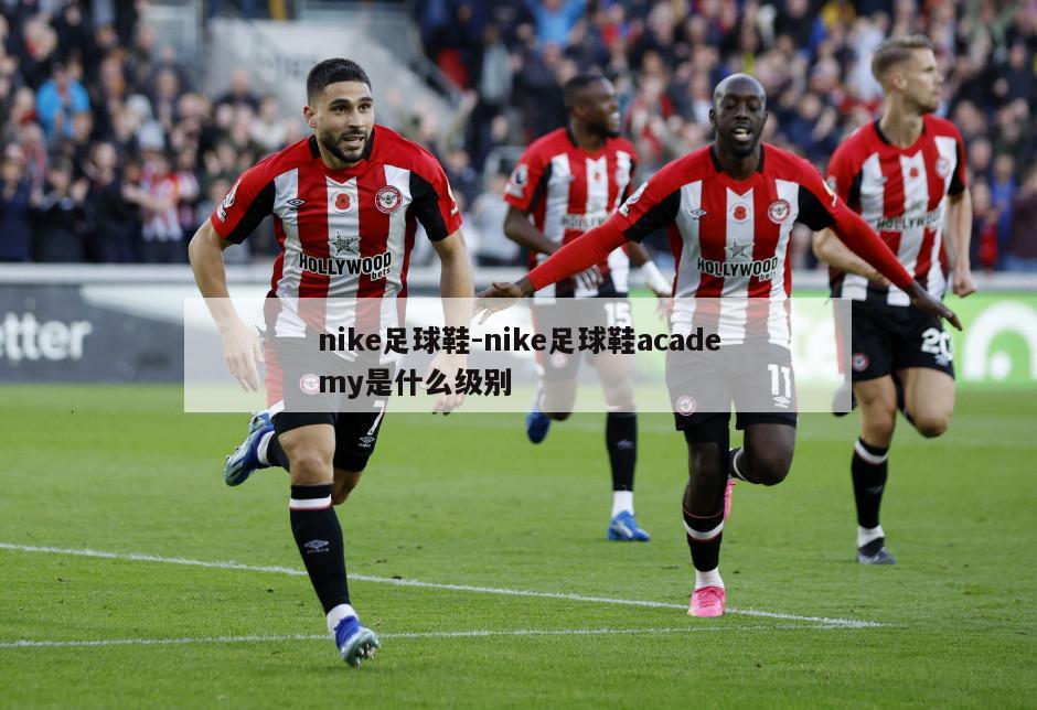 nike足球鞋-nike足球鞋academy是什么级别
