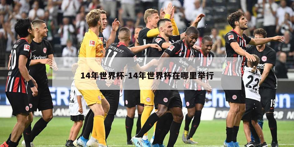 14年世界杯-14年世界杯在哪里举行
