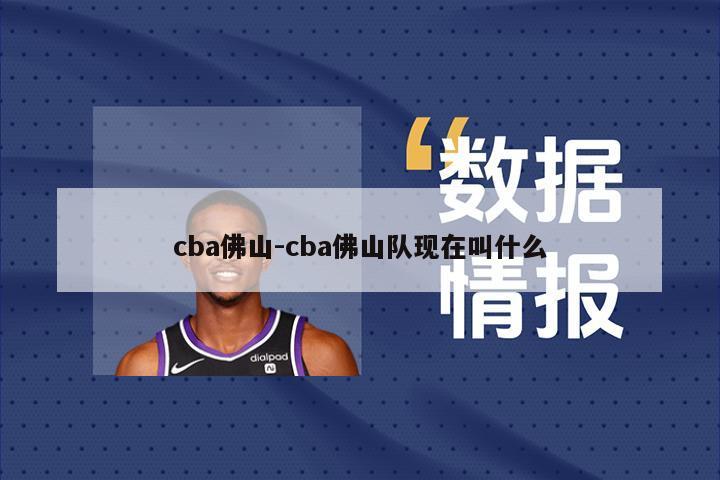 cba佛山-cba佛山队现在叫什么