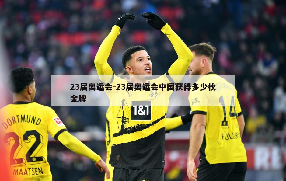 23届奥运会-23届奥运会中国获得多少枚金牌